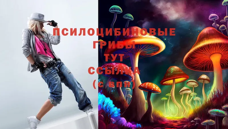 МЕГА маркетплейс  Кимовск  Псилоцибиновые грибы Magic Shrooms 